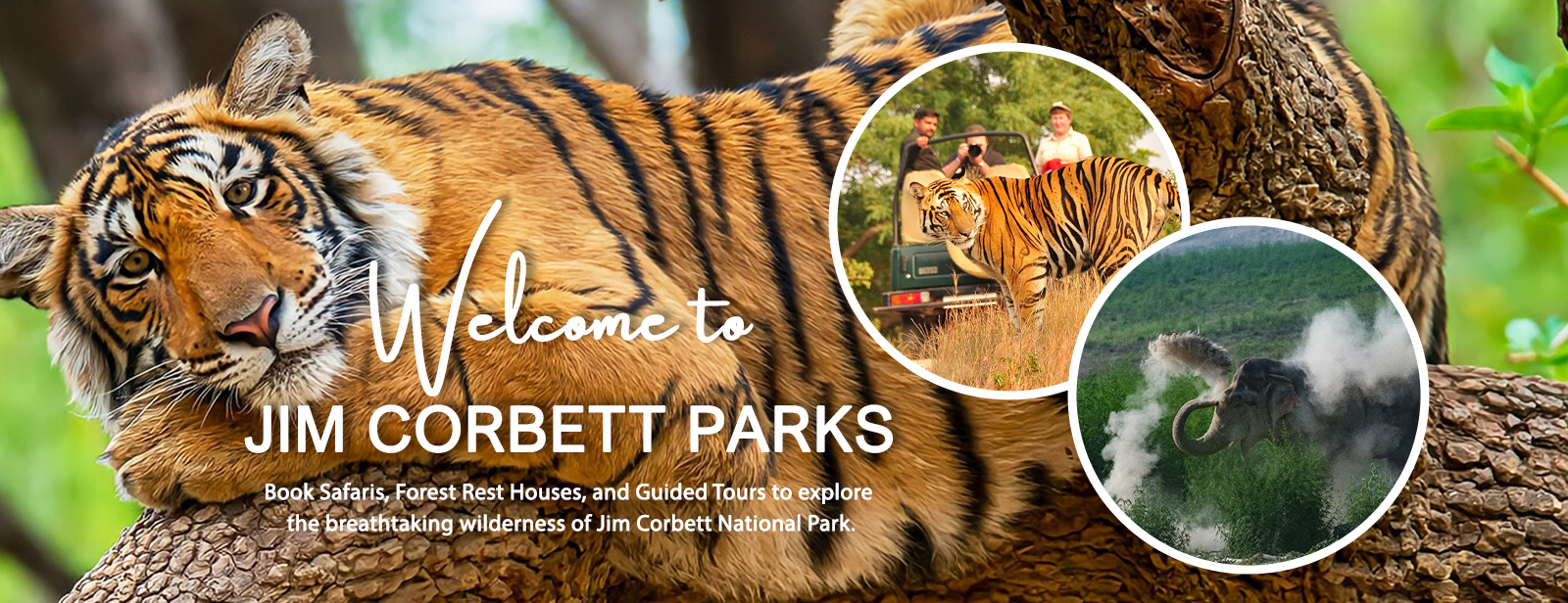 Corbett Wild Holidays