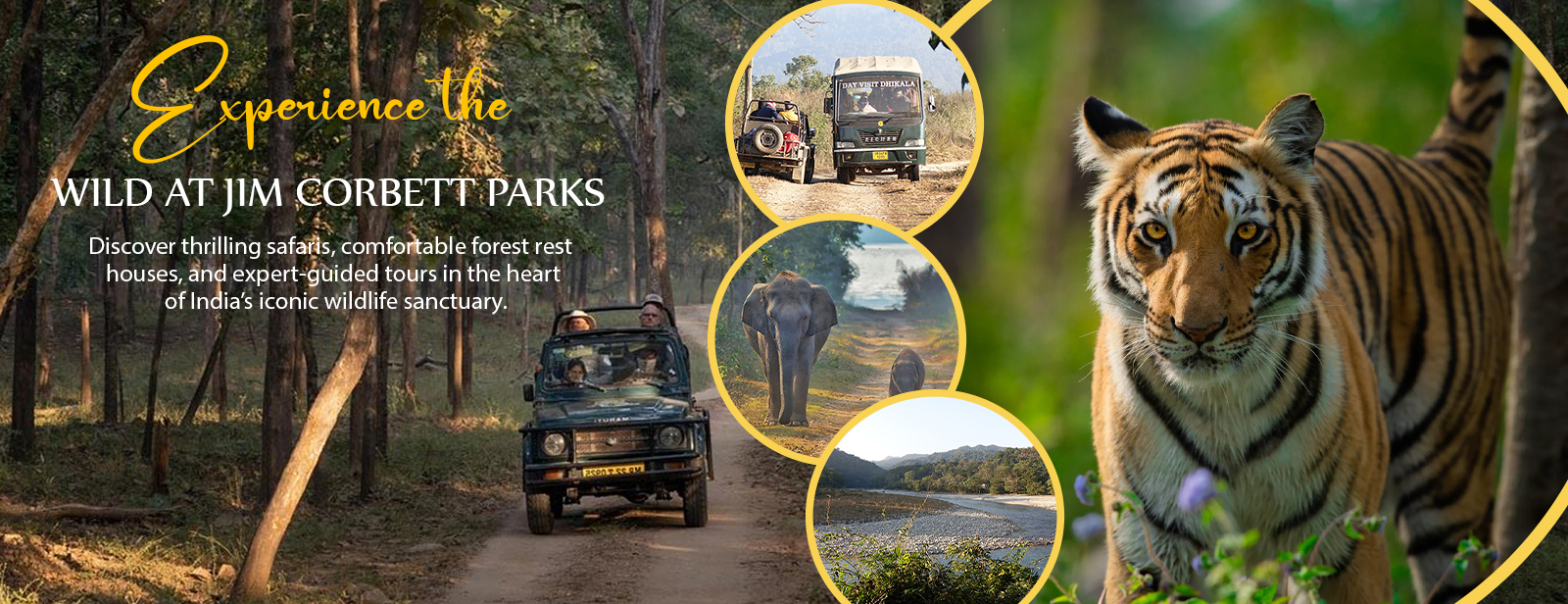 Corbett Wild Holidays